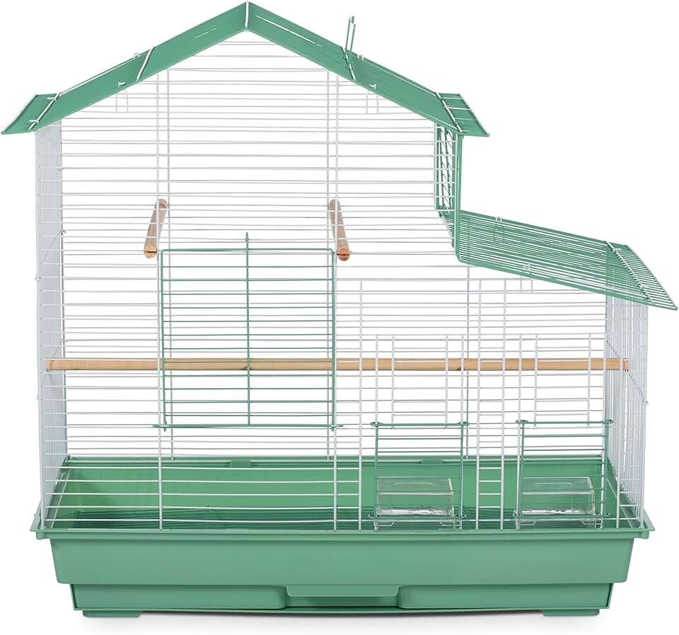 Small green house style bird cage