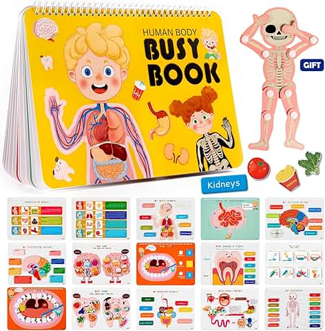 Montessori Human Body Busy Book for Kids