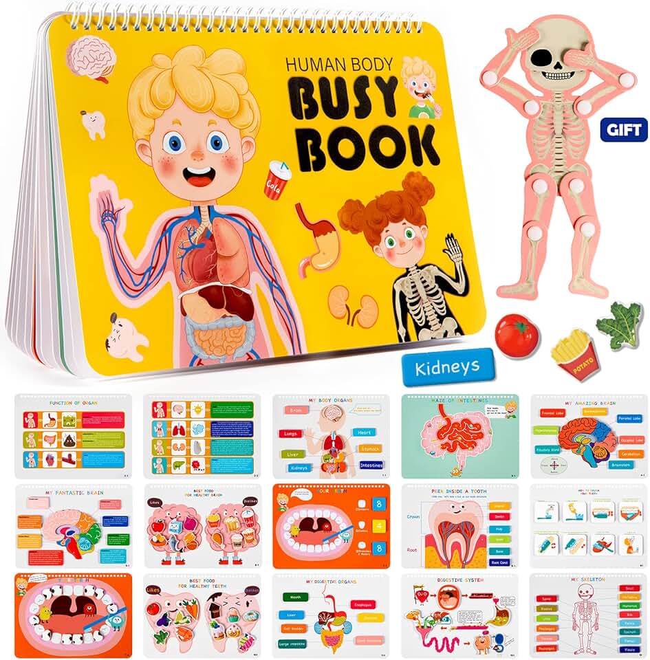 Montessori Human Body Busy Book for Kids