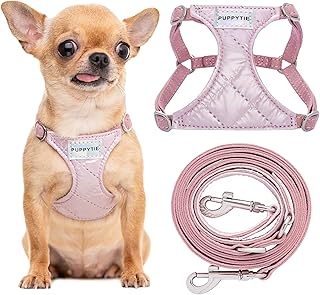 Soft Pink No Pull Dog Harness with Leash, XS