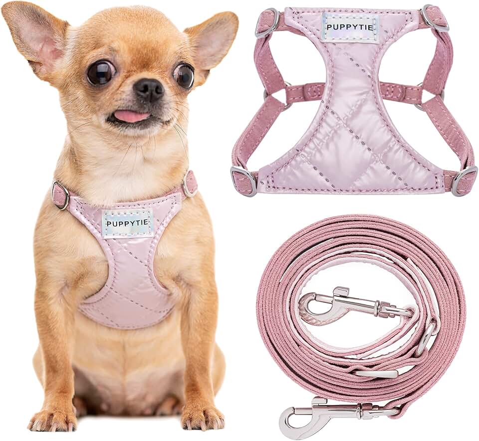 Soft Pink No Pull Dog Harness with Leash, XS