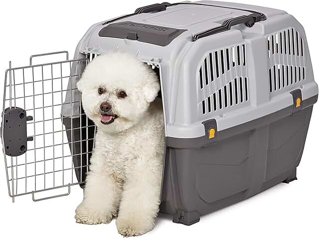 27-Inch Plastic Dog Carrier for Small and Medium Breeds