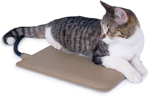 Heated Outdoor Cat Mat for Feral and Indoor Use