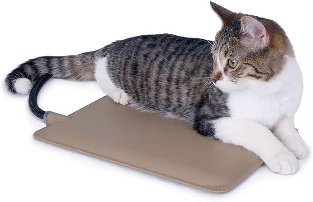 Heated Outdoor Cat Mat for Feral and Indoor Use