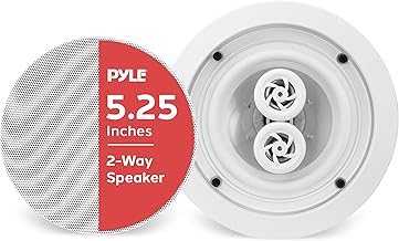 Wireless 5.25-inch Dual Channel Ceiling Speaker