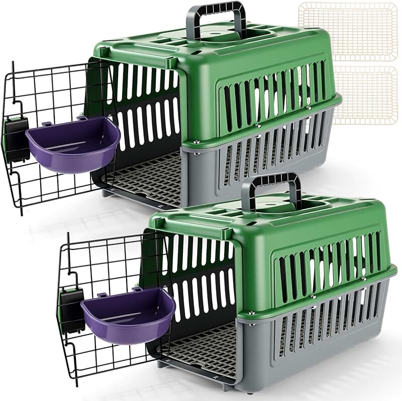 17.5" Hard Plastic Pet Carrier for Small Cats and Dogs