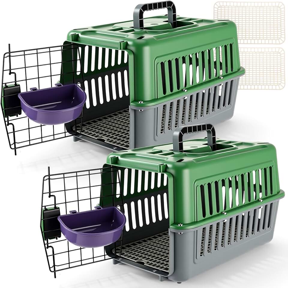 17.5" Hard Plastic Pet Carrier for Small Cats and Dogs