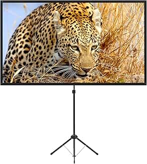Portable 80-Inch Outdoor Movie Screen with Stand
