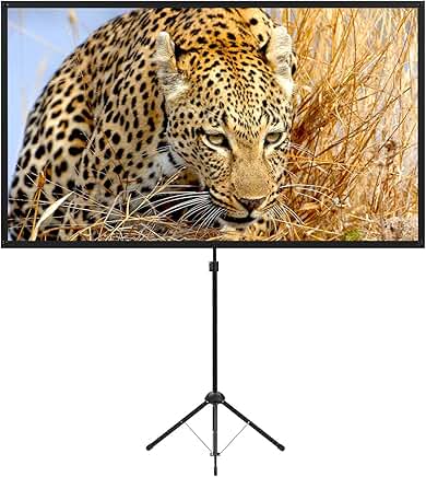 Portable 80-Inch Outdoor Movie Screen with Stand