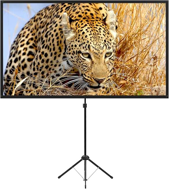 Portable 80-Inch Outdoor Movie Screen with Stand