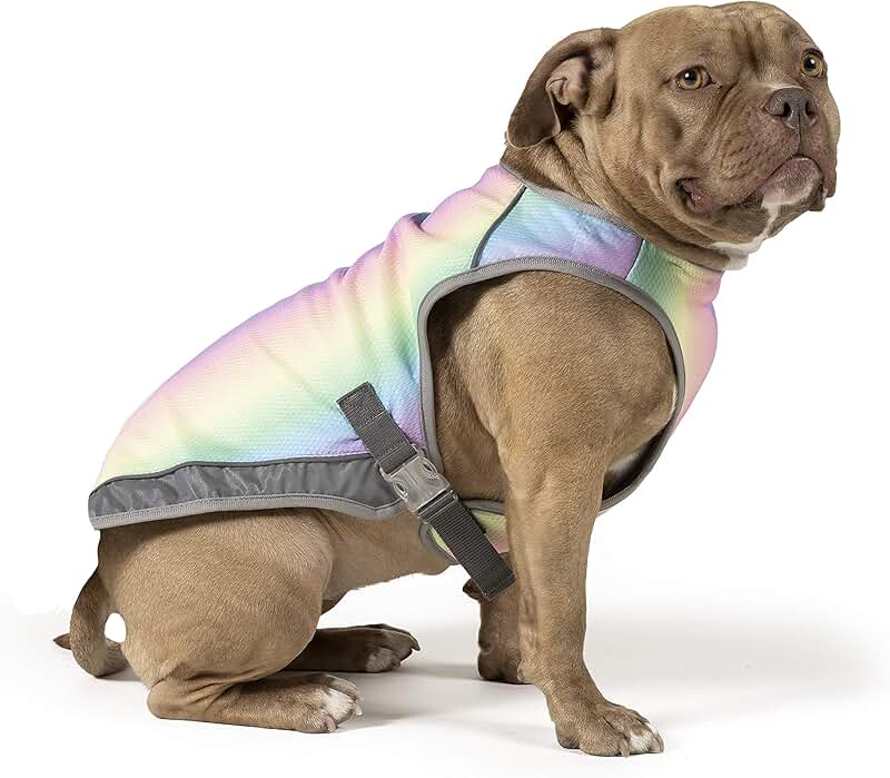 Dog Cooling Vest with Breathable Mesh and Reflective Lining