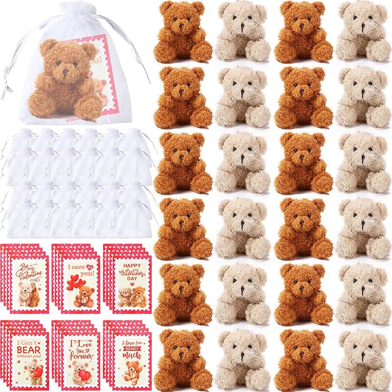 Set of 24 Valentine’s Day Mini Plush Bears with Cards and Bags