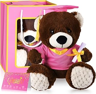 Pink Graduation Teddy Bear with Cap, Gown, Card, and Bag