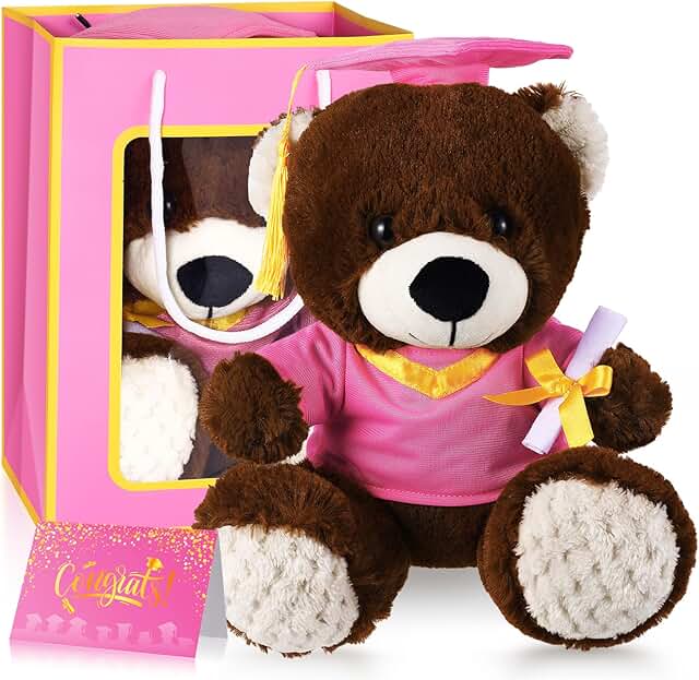 Pink Graduation Teddy Bear with Cap, Gown, Card, and Bag