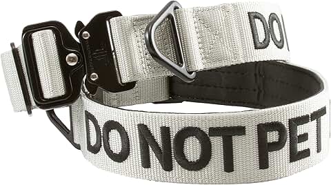 Nylon Dog Collar with Padded Inside for Medium and Large Dogs