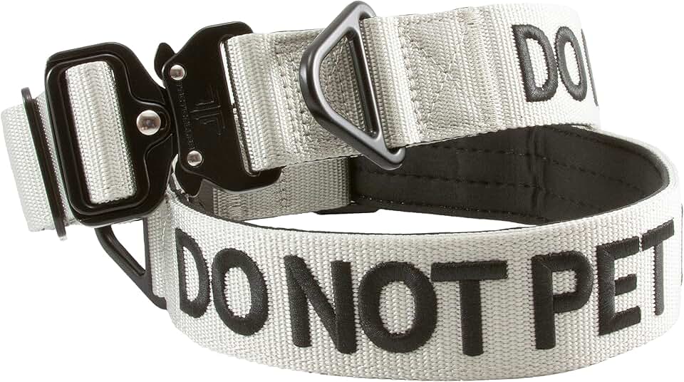 Nylon Dog Collar with Padded Inside for Medium and Large Dogs