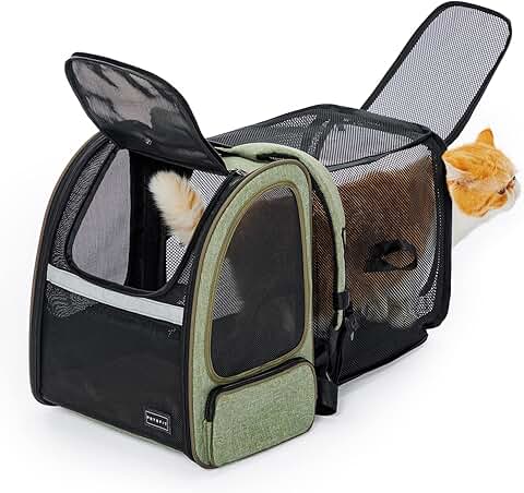 Expandable pet backpack for travel and hiking