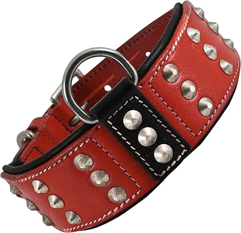 Leather Studded Dog Collar for Large Dogs
