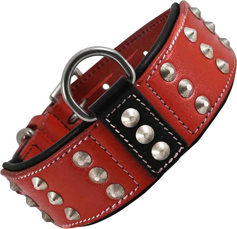 Leather Studded Dog Collar for Large Dogs