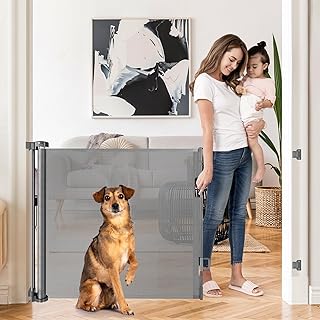 Retractable Gate for Doorways and Stairs