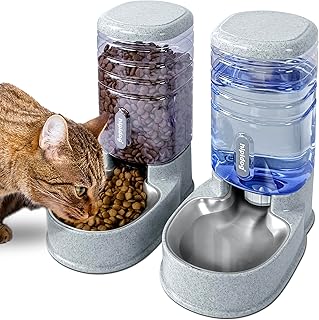 Stainless Steel Automatic Pet Food and Water Dispenser