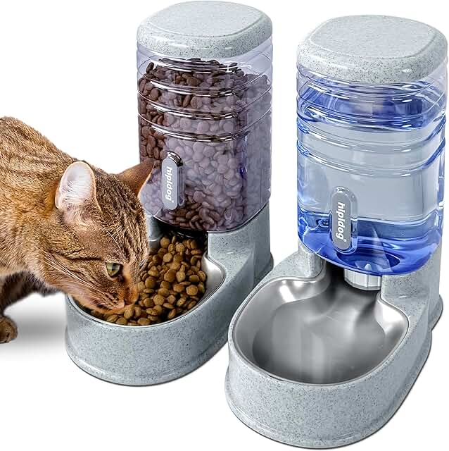 Stainless Steel Automatic Pet Food and Water Dispenser