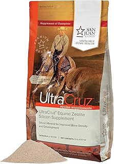 Equine Zeolite Silicon Supplement for Horses, 10 lb