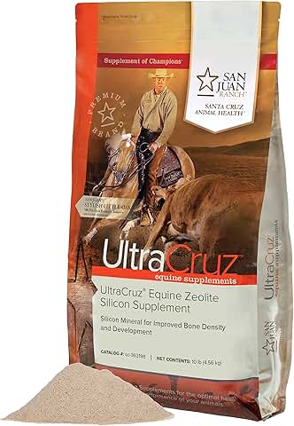 Equine Zeolite Silicon Supplement for Horses, 10 lb