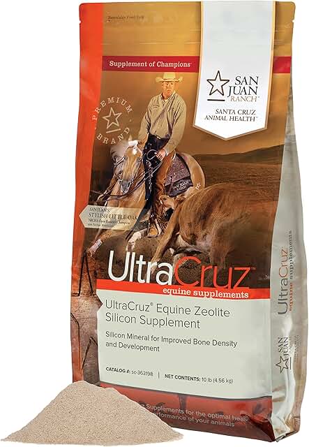 Equine Zeolite Silicon Supplement for Horses, 10 lb
