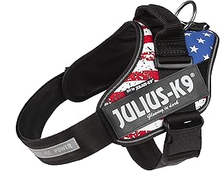 Large Power Harness with USA Flag