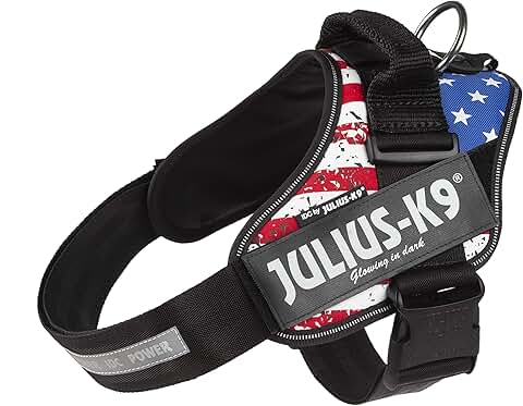 Large Power Harness with USA Flag
