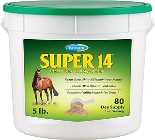 Healthy Skin & Coat Supplement for Horses, 5 lb
