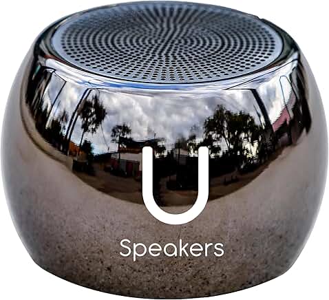 Wireless Portable Bluetooth Speaker with Subwoofer and Mic