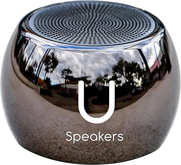 Wireless Portable Bluetooth Speaker with Subwoofer and Mic