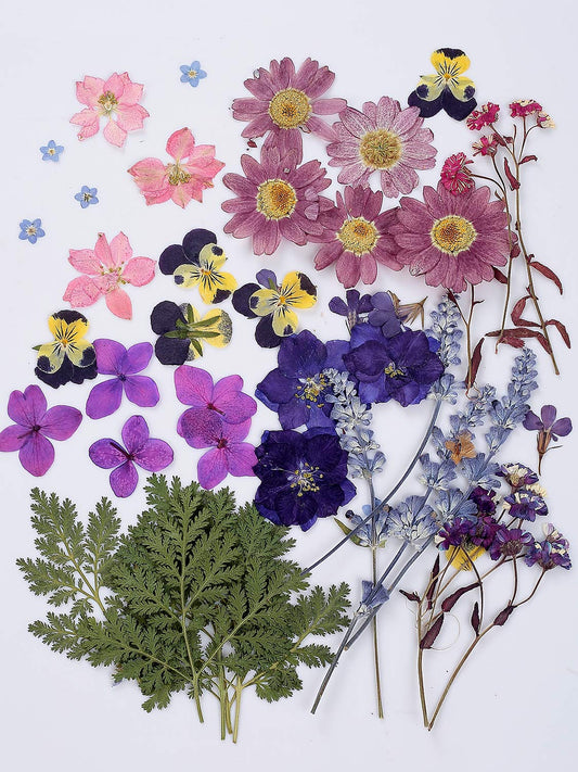 46pcs Dried Pressed Flowers Leaves for Resin Jewelry Craft