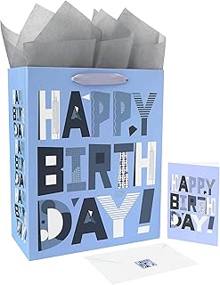 Large Silver Gift Bag with Card and Tissue