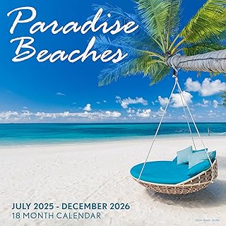 Biodegradable 11x17 Inch Wall Calendar Jul 2025-Dec 2026