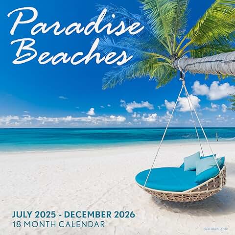 Biodegradable 11x17 Inch Wall Calendar Jul 2025-Dec 2026