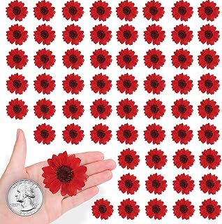 Set of 60 Small Dried Sunflowers for Crafts and Decorations