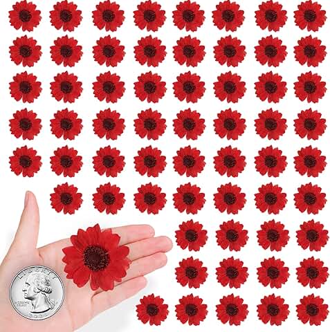Set of 60 Small Dried Sunflowers for Crafts and Decorations