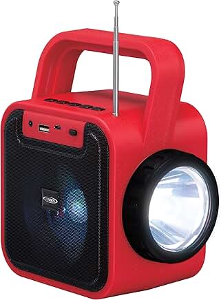 Portable Rechargeable Bluetooth Speaker with FM Radio and Flashlight