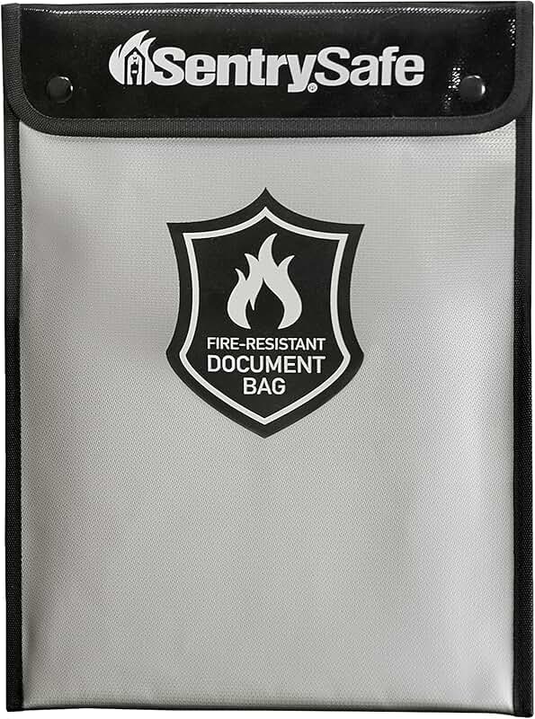 Fire and water resistant portable bag for documents and money