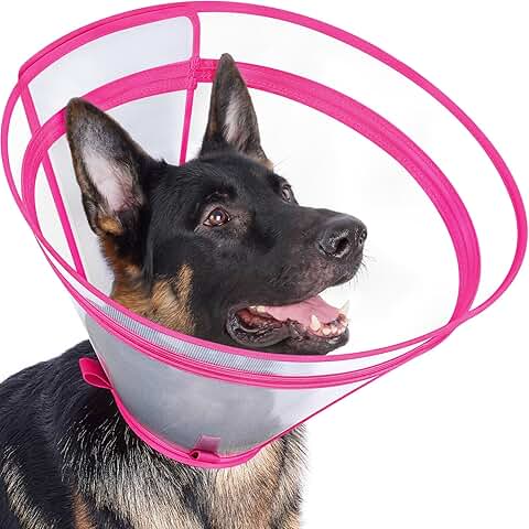 Clear adjustable dog recovery cone for all sizes