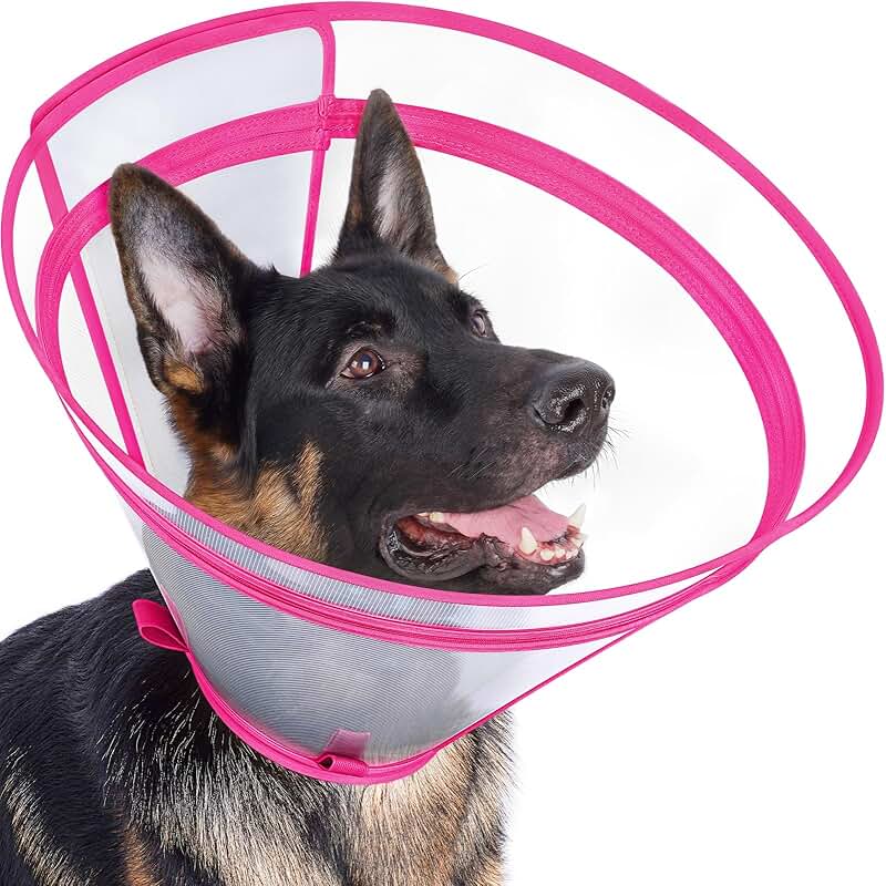 Clear adjustable dog recovery cone for all sizes
