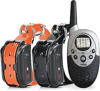 Dog Training Shock Collar for Two Dogs