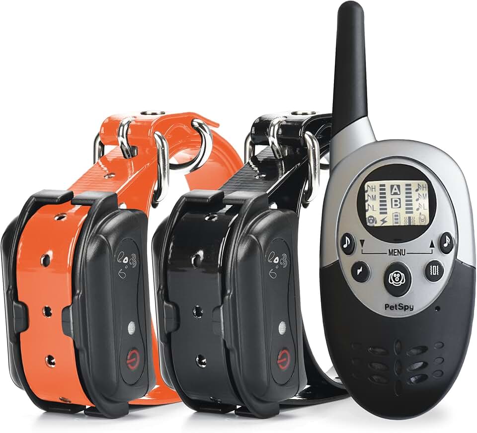 Dog Training Shock Collar for Two Dogs