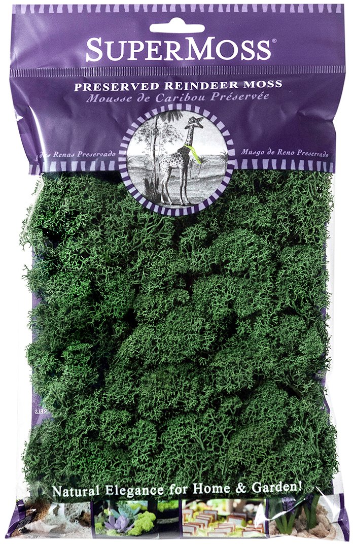 Preserved Forest Green Reindeer Moss 2oz