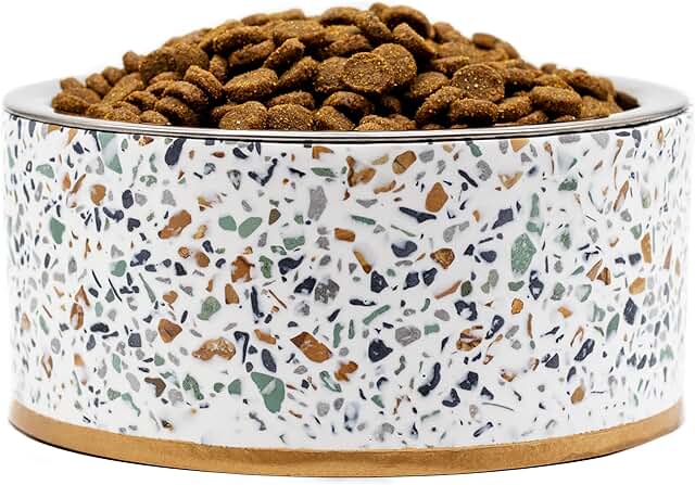 Elevated Pet Bowl Stand with Removable Stainless Steel Bowl