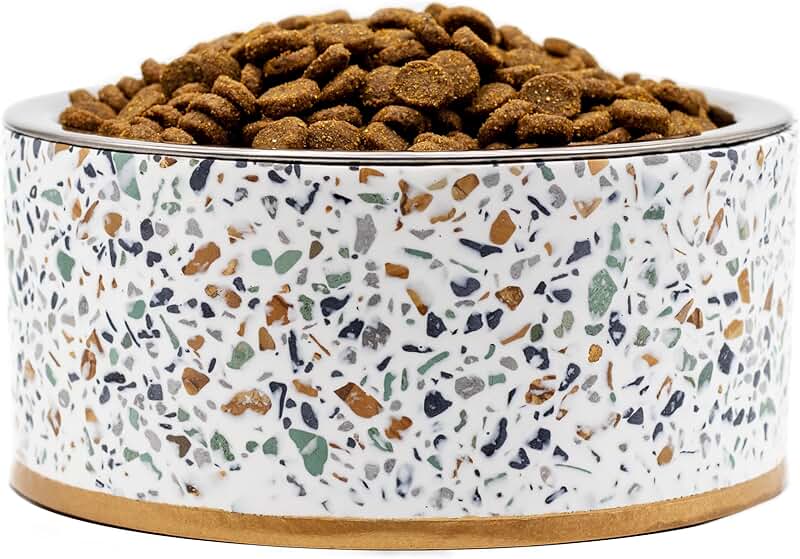 Elevated Pet Bowl Stand with Removable Stainless Steel Bowl