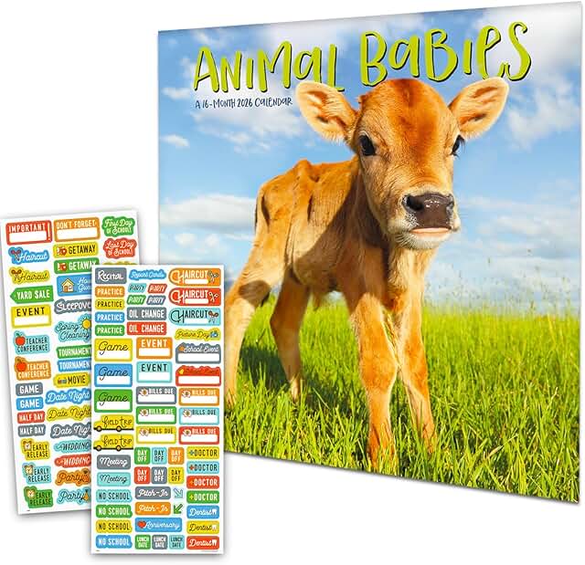 Baby Animals 2026 Wall Calendar with Reminder Stickers